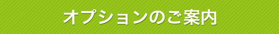 オプションのご案内